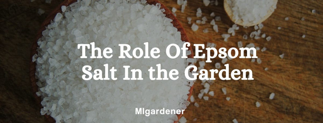 Epsom salt.