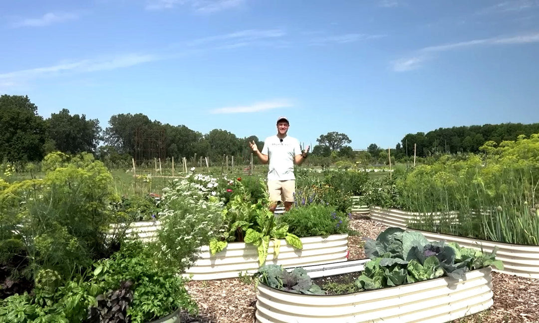 A man showing the intercropping method used in his garden.