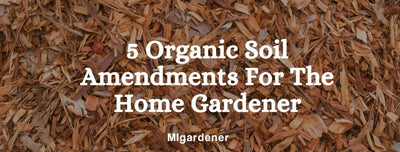 5 Organic Soil Amendments For The Home Gardener