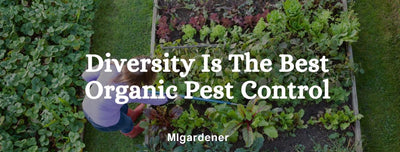 Diversity Is The Best Organic Pest Control