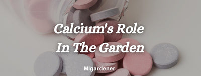 Your Garden Would Be Nowhere Without Calcium