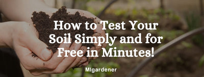 How to Test Your Soil Simply and for Free in Minutes!