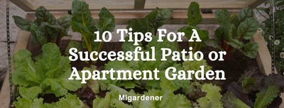 10 Tips For A Groundbreakingly Great Container Garden