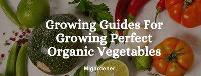Growing Guides For Growing Perfect Organic Vegetables