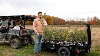 A man selecting a fruit tree sapling to plant.