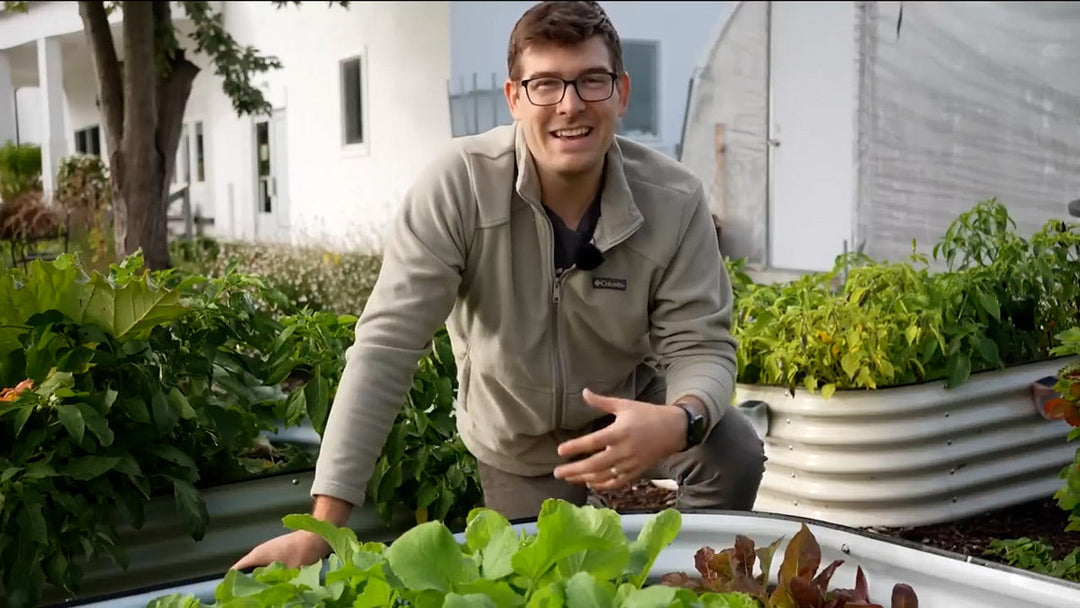 A man kneeling in a potager garden.