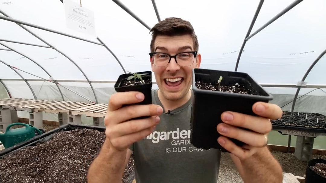 A man holding seedlings.