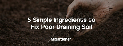 5 Simple Ingredients to Fix Poor Draining Soil