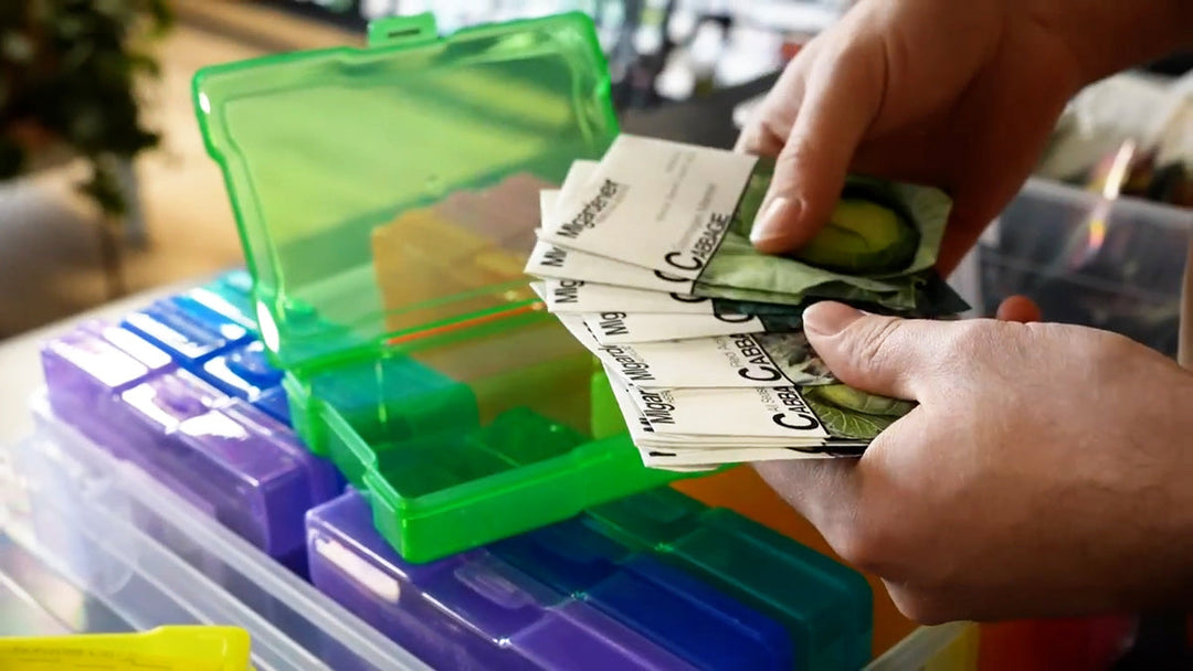 A person sorting seeds into a container.