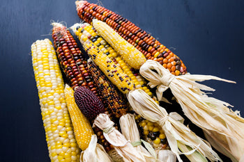 Different colors and types of corn on a table.