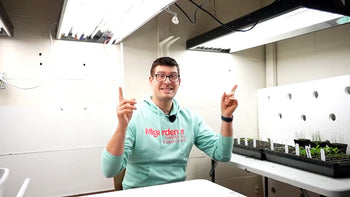 A man using grow lights for seedlings.
