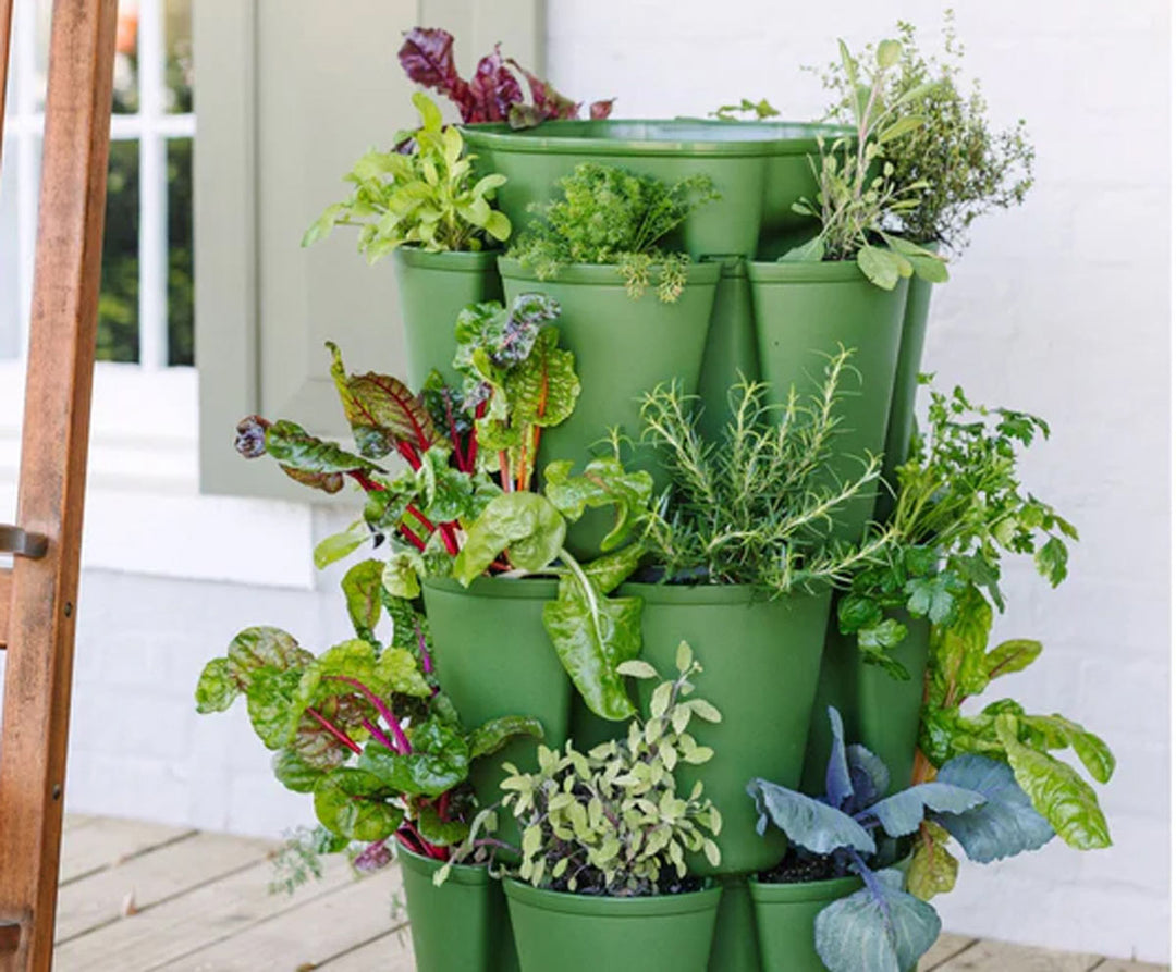 Vegetables growing in a vertical planter.