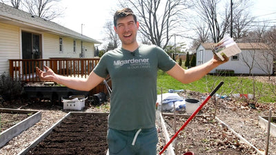 What to Plant in April: A Monthly Planting Guide