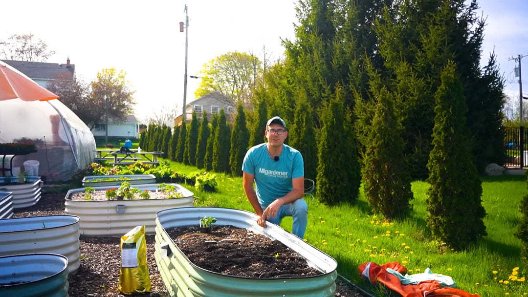 A man planting in a garden. 