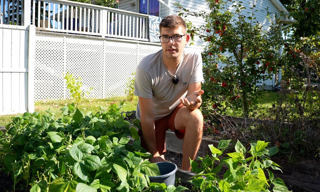 A man explaining fertilizing an organic garden. 