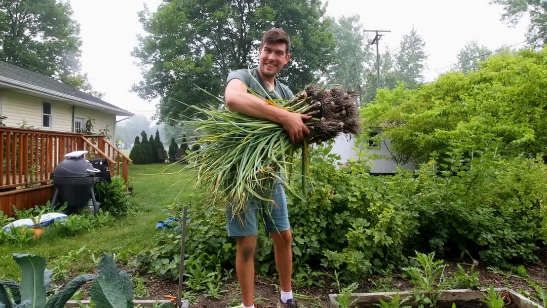 A man holding a large harvest of garlic.