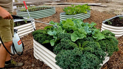 MIgardener Guide To 100% Organic Pesticides For Home Gardens
