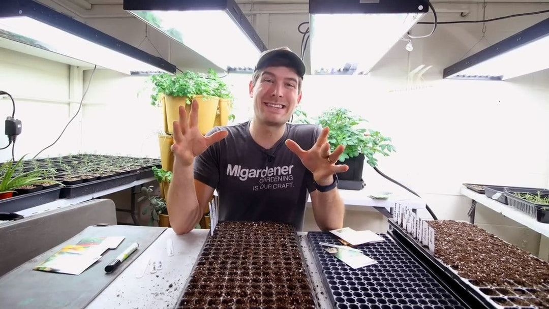 A man sitting in a grow room starting seeds.