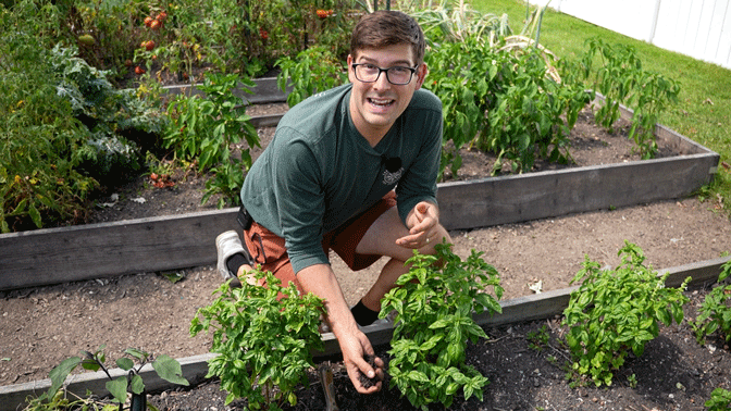 A man kneeling by garden to inspect soil.