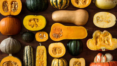 Surveying the Many Winter Squash Varieties