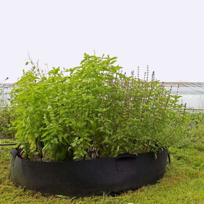 grow bags for weed plants Grow Bags
