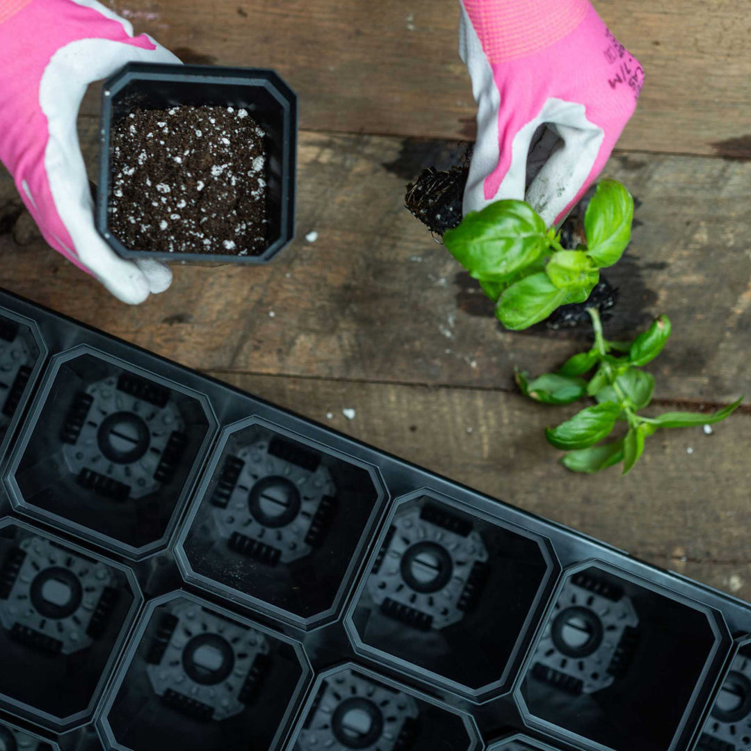 starter pots for plants Bootstrap Farmer 3.3" Heavy Duty Seed Starting Pots- Set of 9 – MIgardener