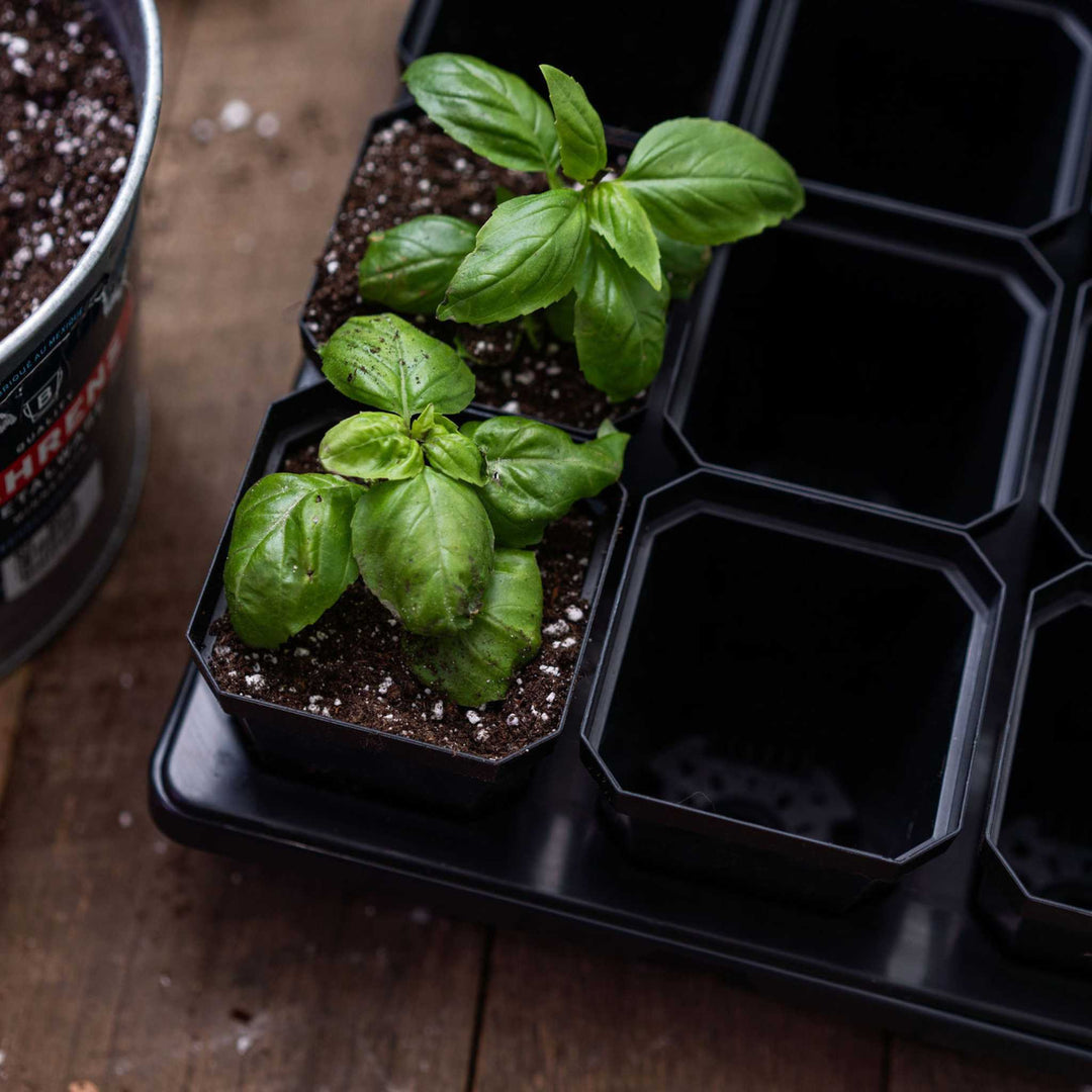seed planting pots Bootstrap Farmer 3.3" Heavy Duty Seed Starting Pots- Set of 9 – MIgardener