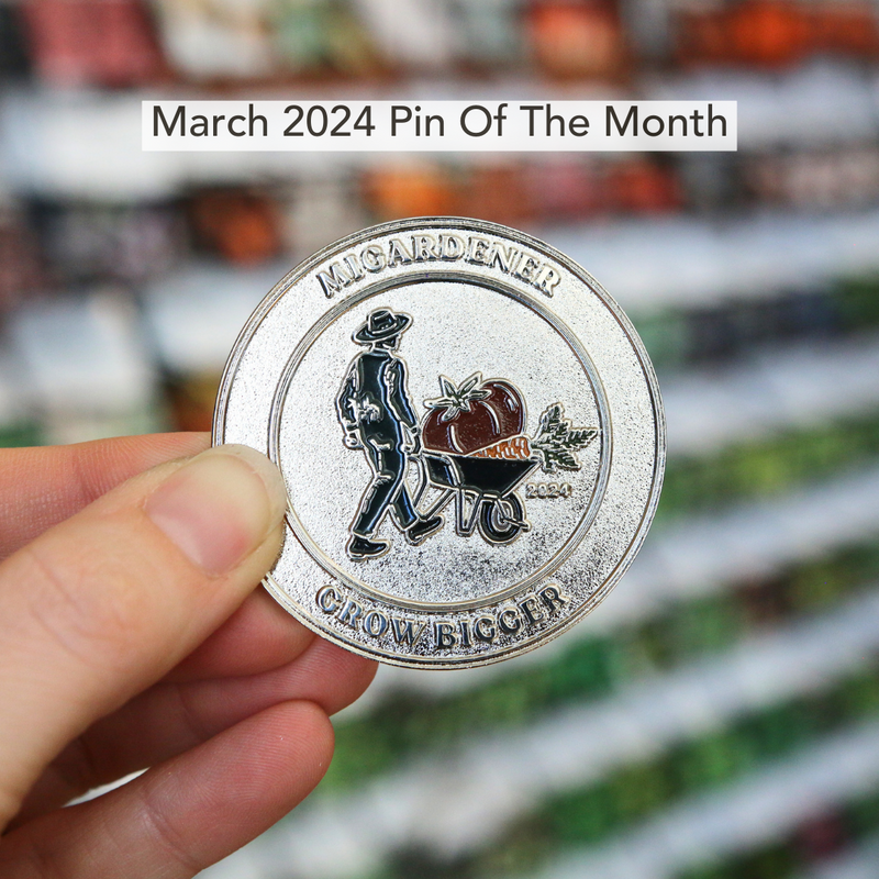 Pin of the Month