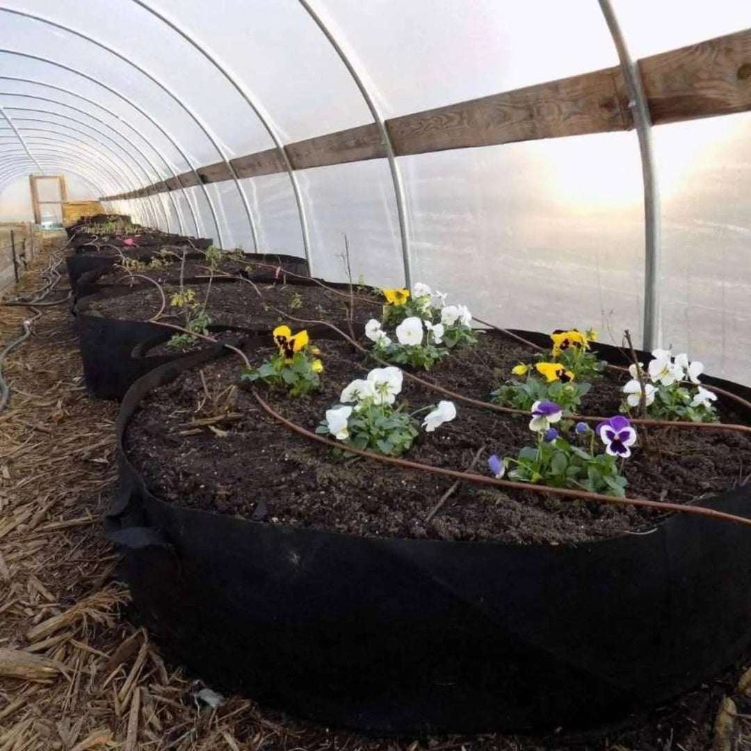 cheap grow bags for plants Grow Bags