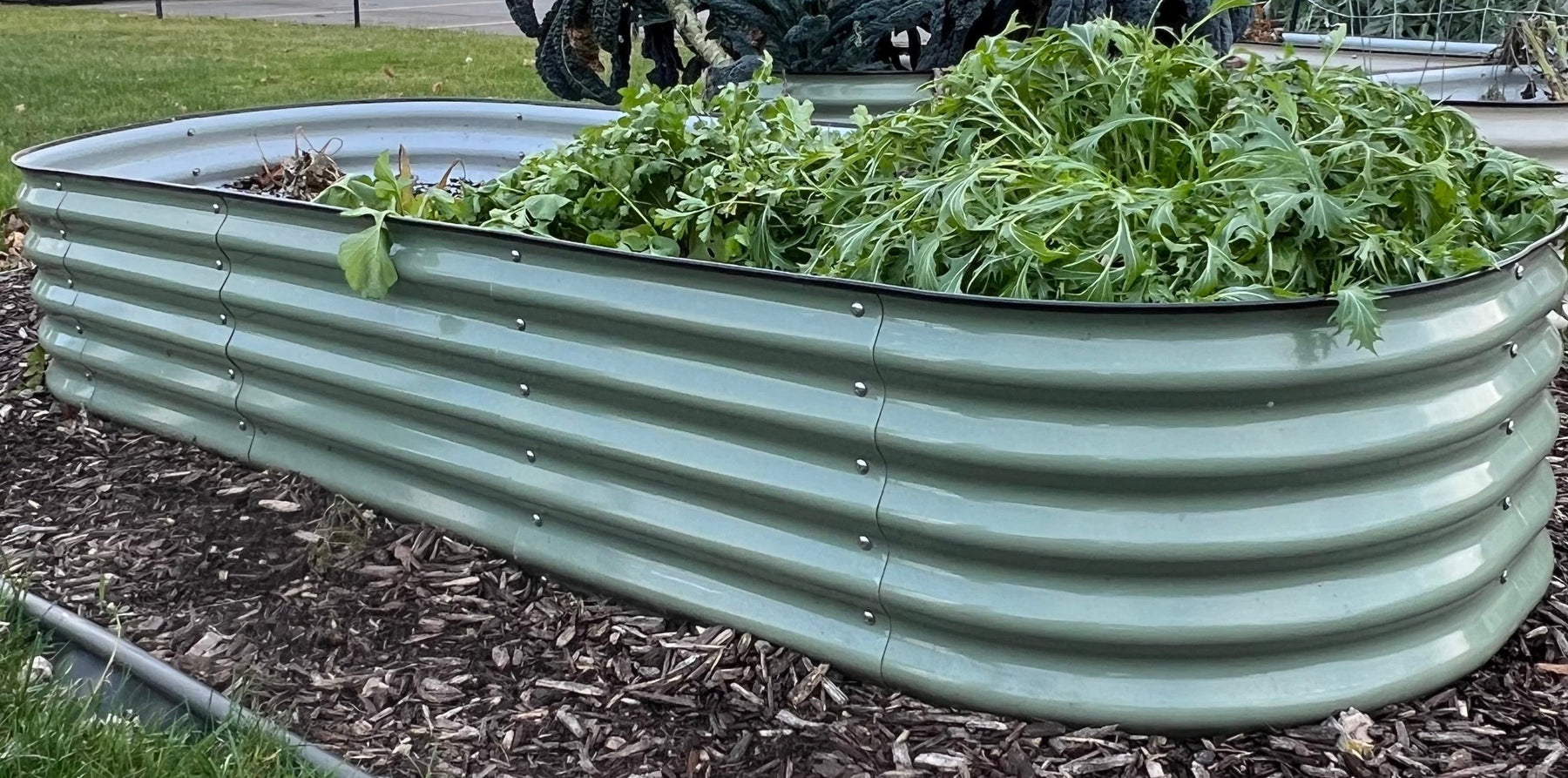 Migardener x Vego Grow Bigger 2 In 1 (SMALL) Raised Bed Kit (SHIPS FRE