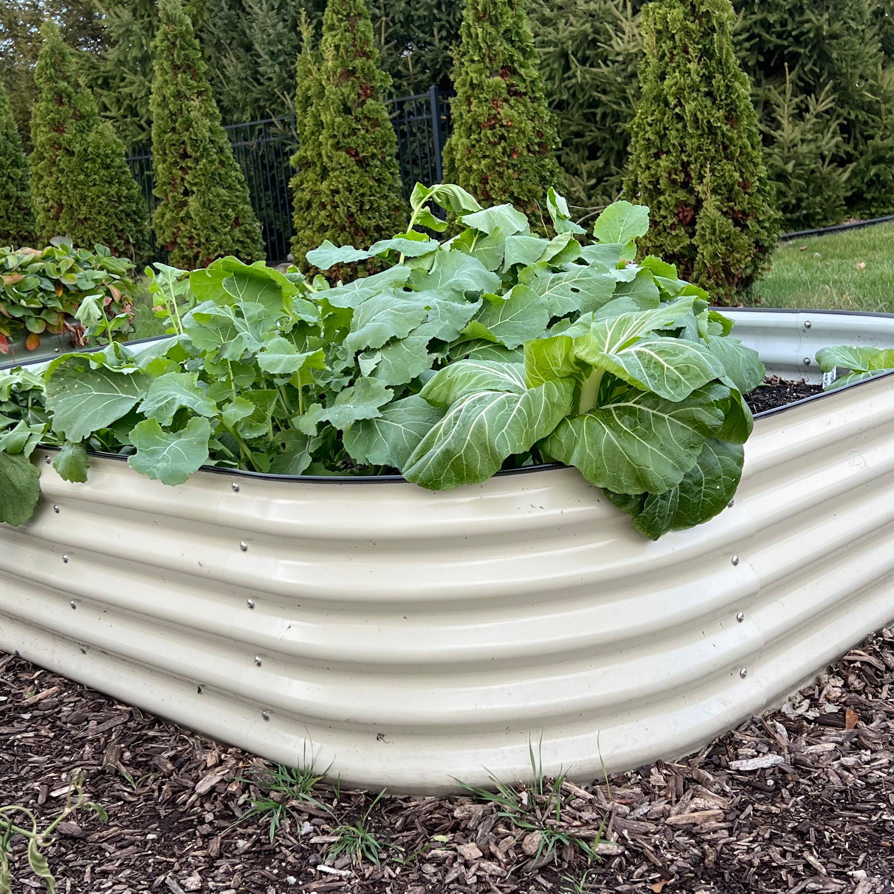 Migardener x Vego Grow Bigger 2 In 1 (SMALL) Raised Bed Kit (SHIPS FRE