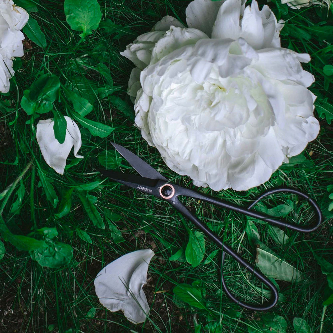 Artisan Pruning &amp; Trimming Shears