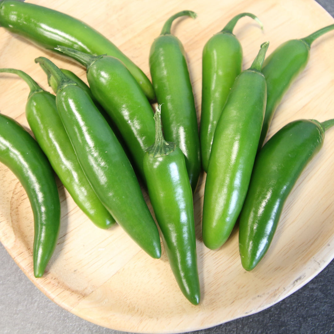 serrano chili plant Serrano Tampiqueño Pepper