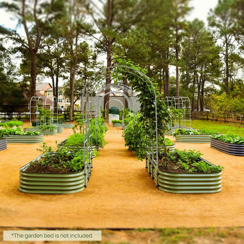 Arched Raised Bed Trellis System