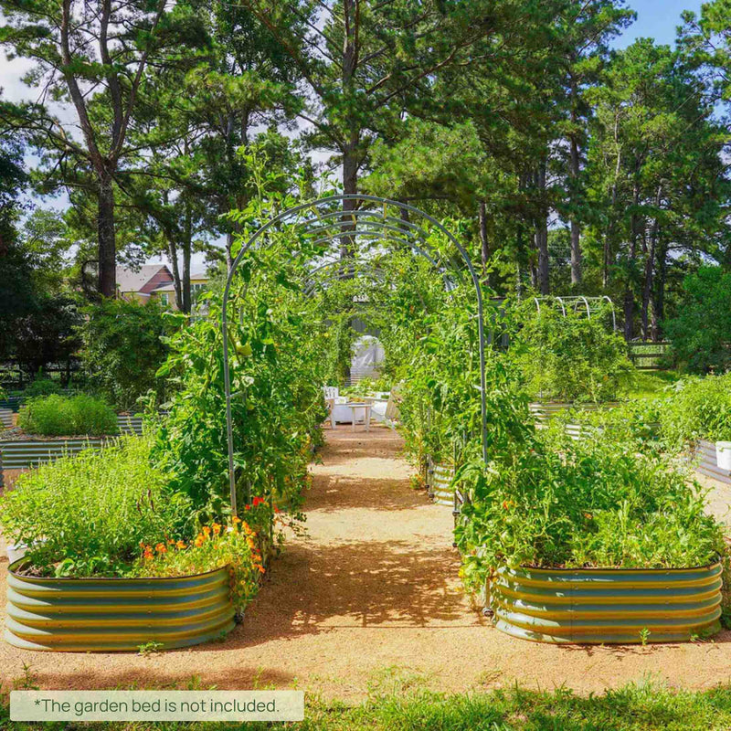 Arched Raised Bed Trellis System