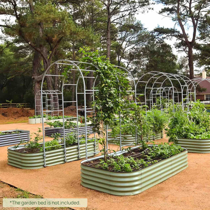 Arched Trellis System by Vego Garden