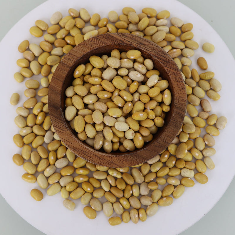 Mayocoba Bean (Bush)