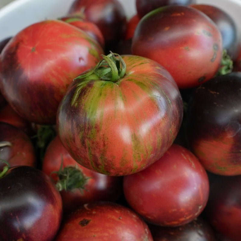 Curtain Call Tomato