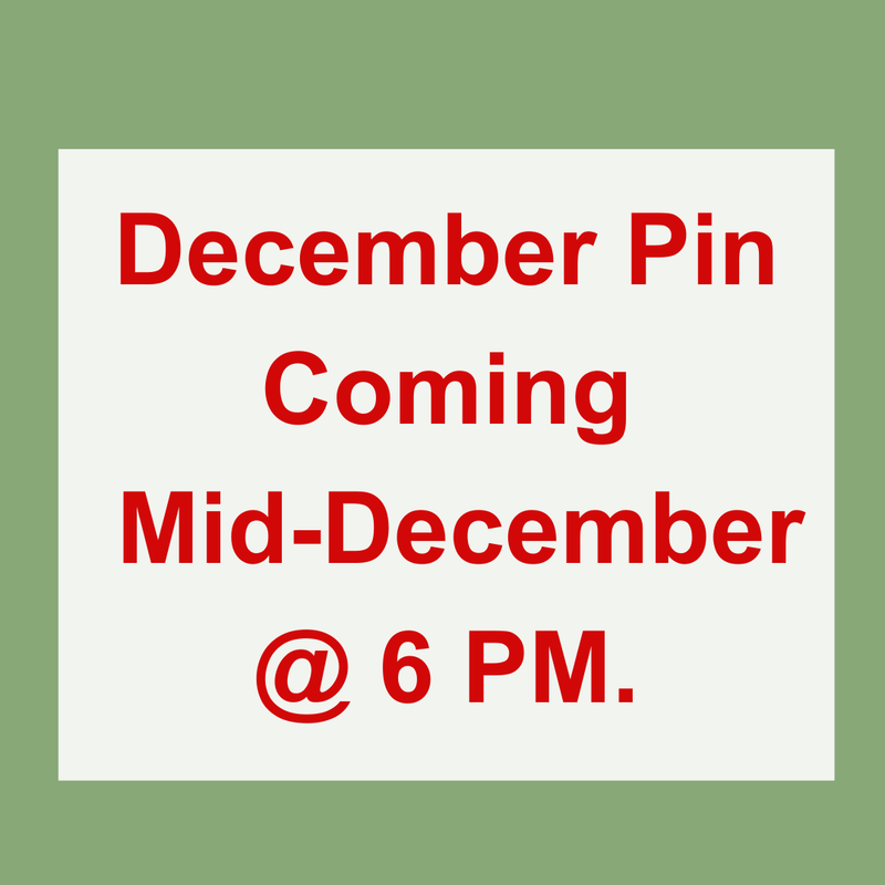 Pin of the Month *Limited Edition*