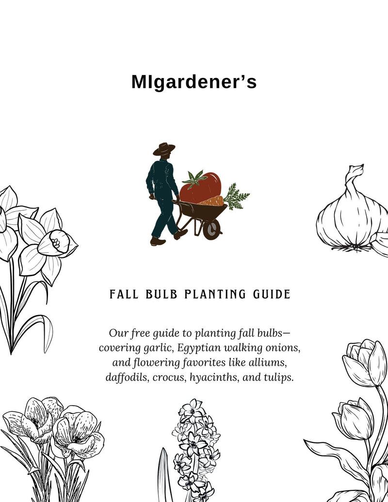 MIgardener's Fall Bulb Planting Guide MIgardener