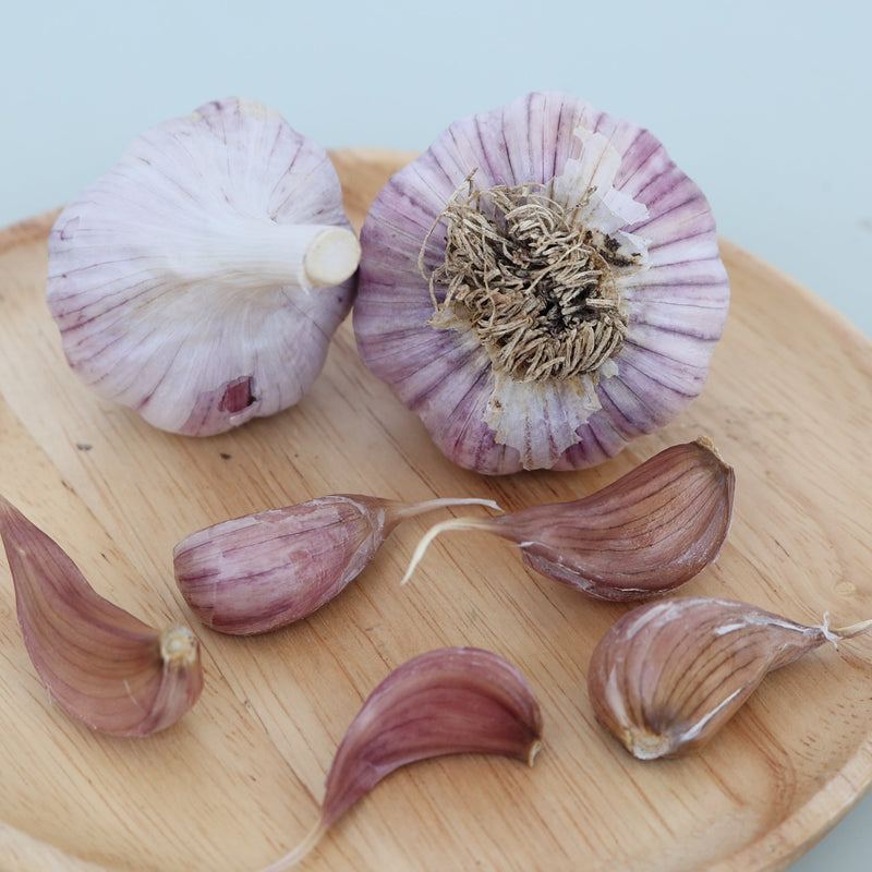 Turkish Red Garlic (Hardneck)