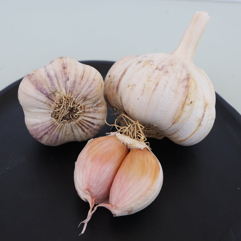 Thai Purple Garlic (Hardneck)