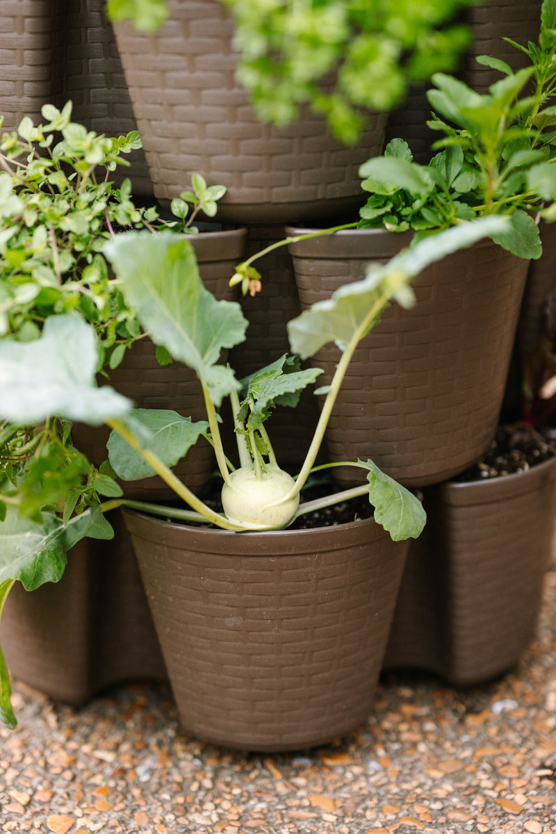 7 Tier GreenStalk Leaf Vertical Planter | Beautiful Black (Basket Weave Texture) (Copy) 