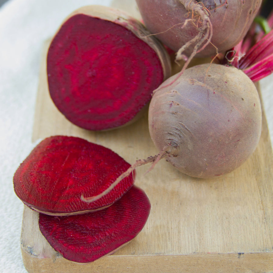 Beet – MIgardener