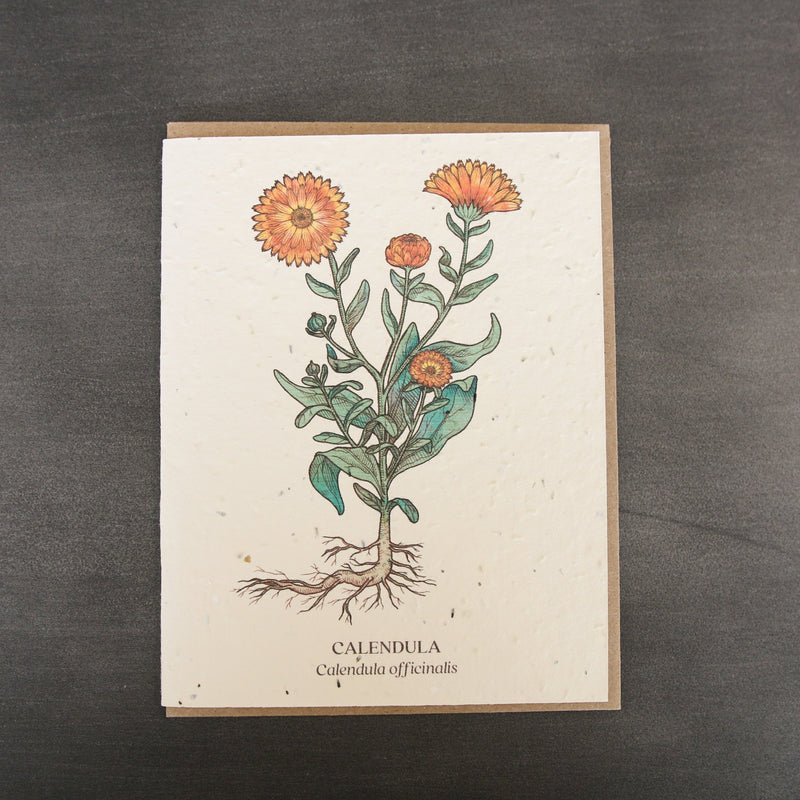 Botanical Plantable Seed Cards