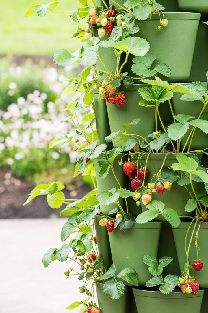 7 Tier GreenStalk Garden Leaf Vertical Planter - Basic Texture