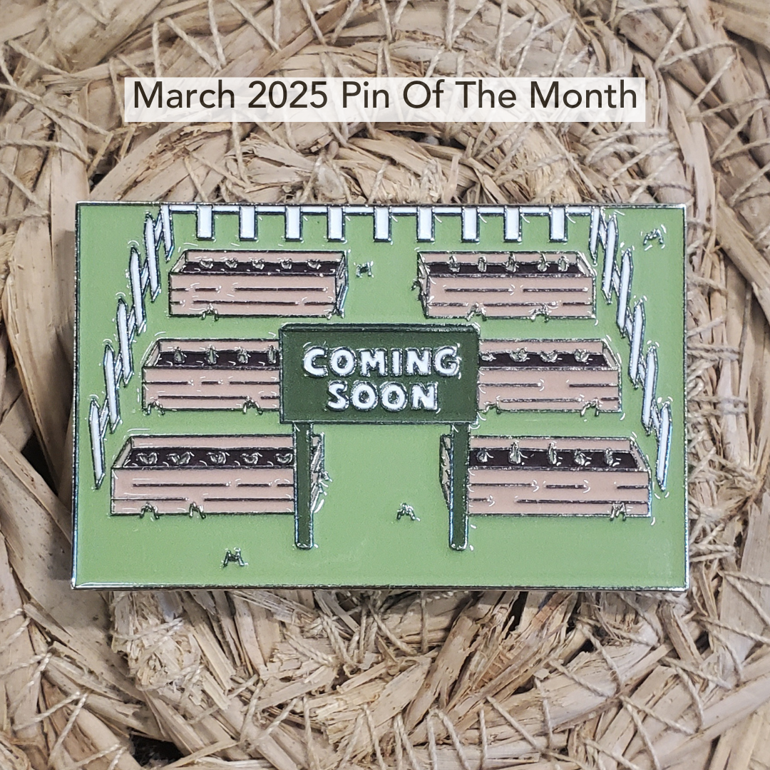 Pin of the Month *Limited Edition*