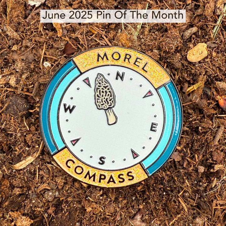 Pin of the Month *Limited Edition*