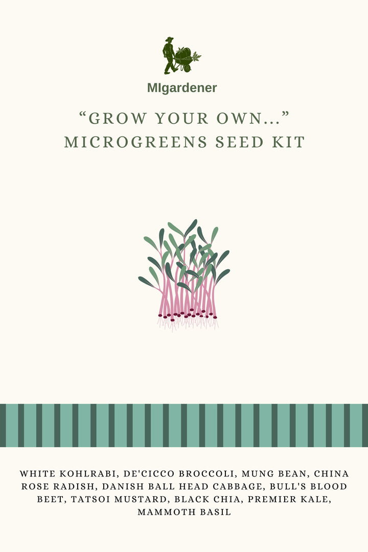 Grow Your Own Microgreen Seeds Kit