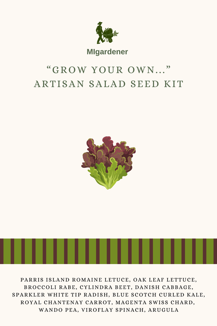 Grow Your Own Artisan Salad Kit